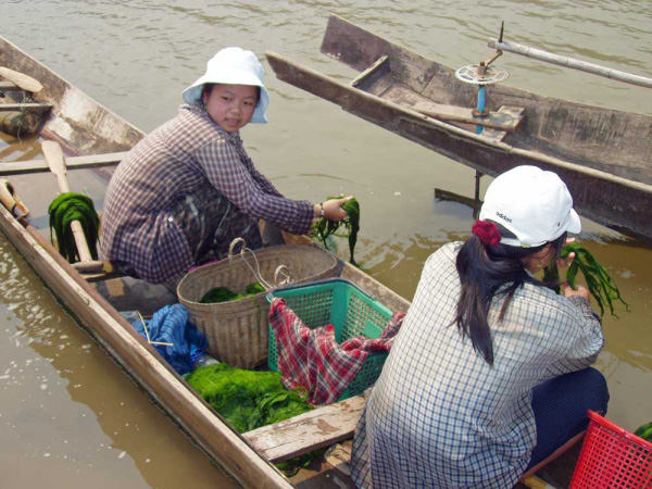 mekong_024