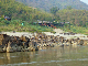 mekong_059