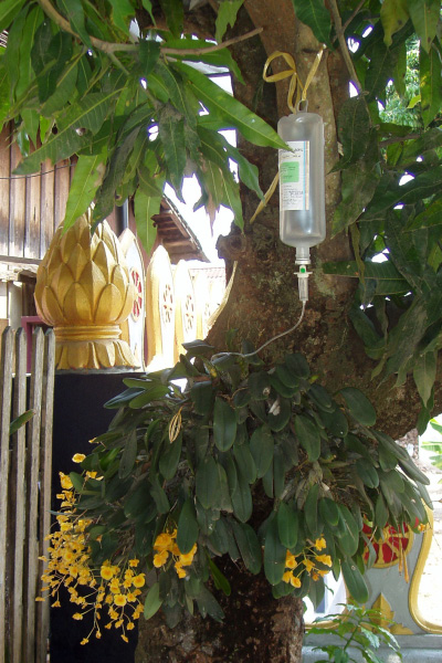 laung_prabang_055